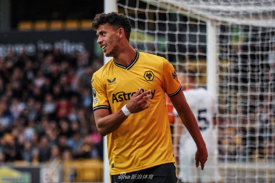 毛球锦标赛 毛球锦标赛